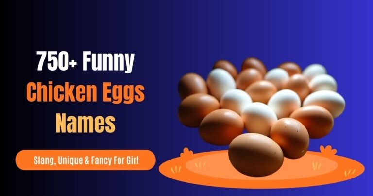 750+ Funny Names for Chicken Eggs: Creative, Slang, Unique & Fancy For Girl