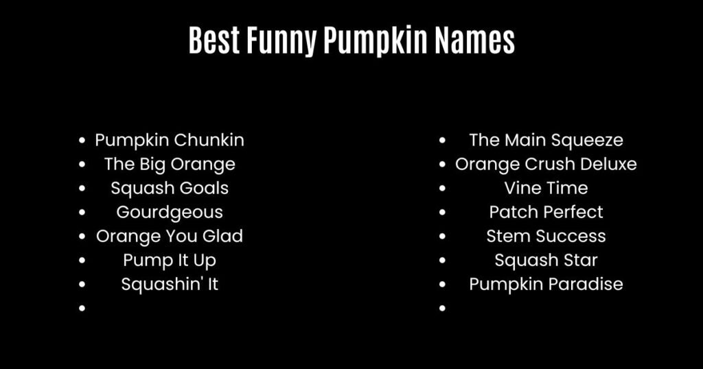 Best Funny Pumpkin Names