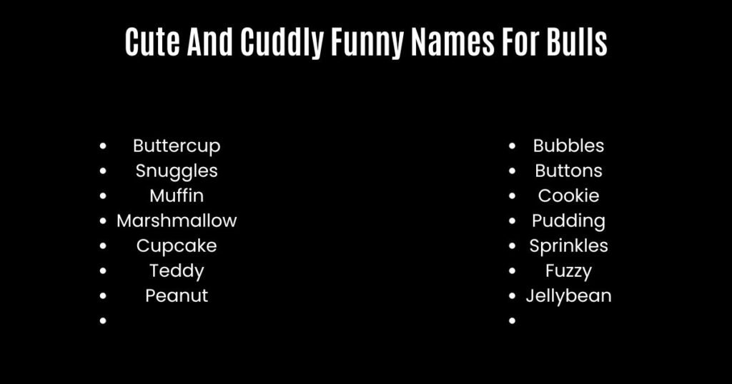 Cute And Cuddly Funny Names For Bulls