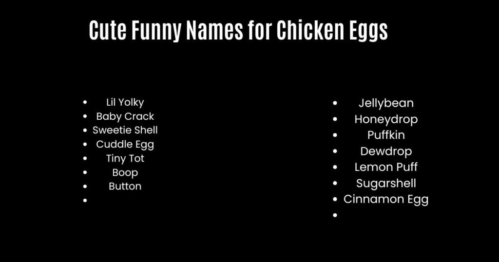 Cute Funny Names for Chicken Eggs