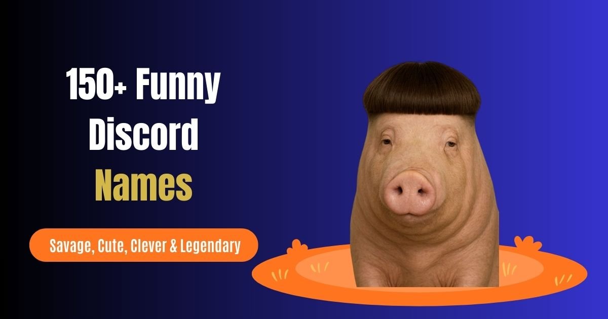 Funny Discord Names