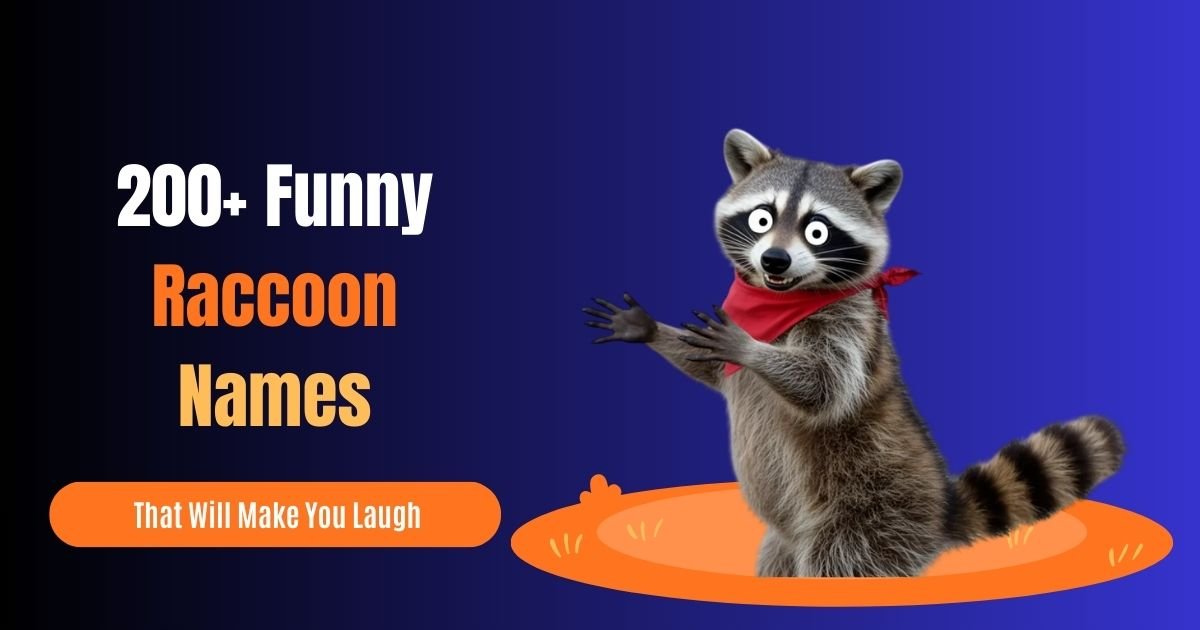 Funny Raccoon Names