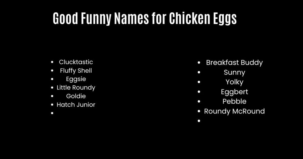 Good Funny Names for Chicken Eggs