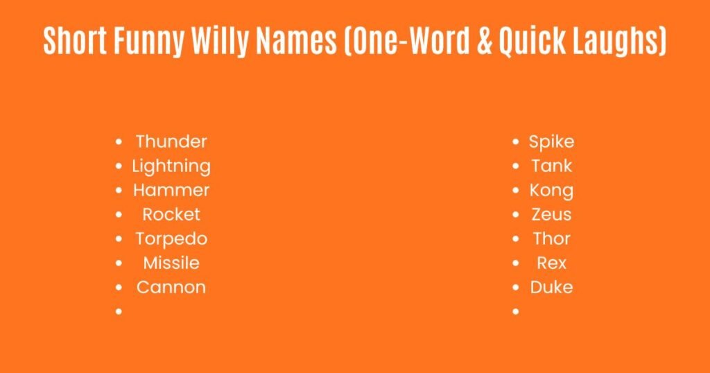 Short Funny Willy Names (One-Word & Quick Laughs)