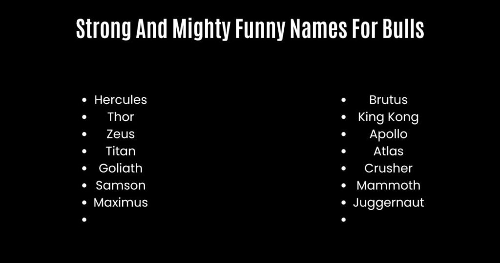 Strong And Mighty Funny Names For Bulls