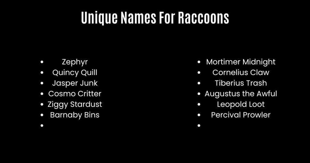 Unique Names For Raccoons