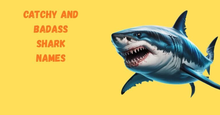 201+ Catchy and Badass Shark Names With Generator (2026 Ultimate List)