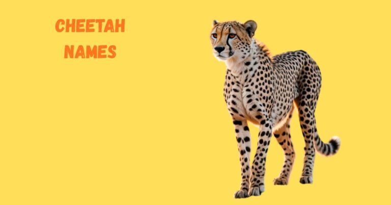 201+ Cool And Badass Cheetah Names With Name Generator