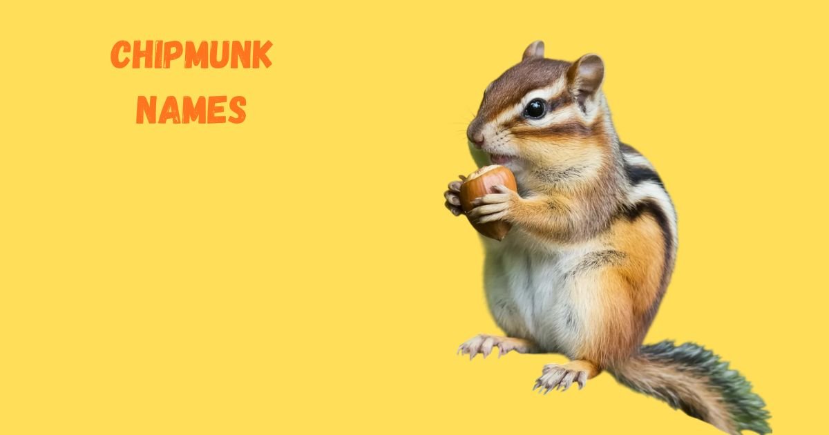 201+ Cute Chipmunk Names With Name Generator (Best Ideas for 2026)