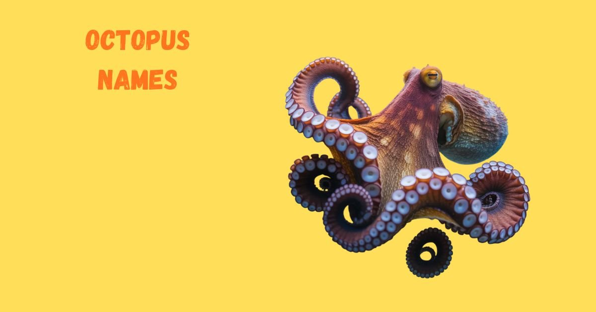 540+ Octopus Names That Are Clever, Cute, and Creative (2026 Ultimate Guide)