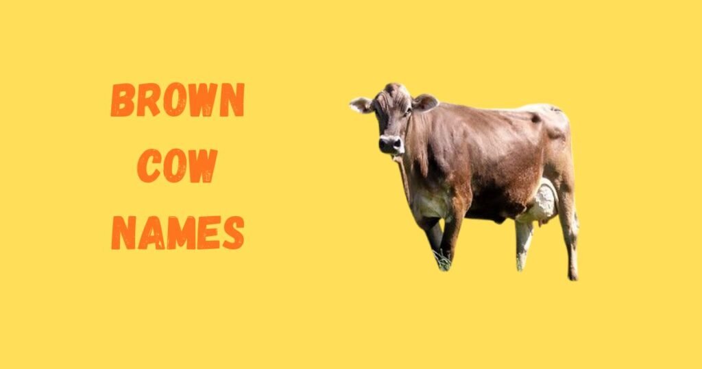Brown Cow Names
