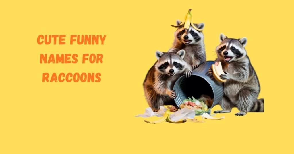 Cute Funny Names For Raccoons