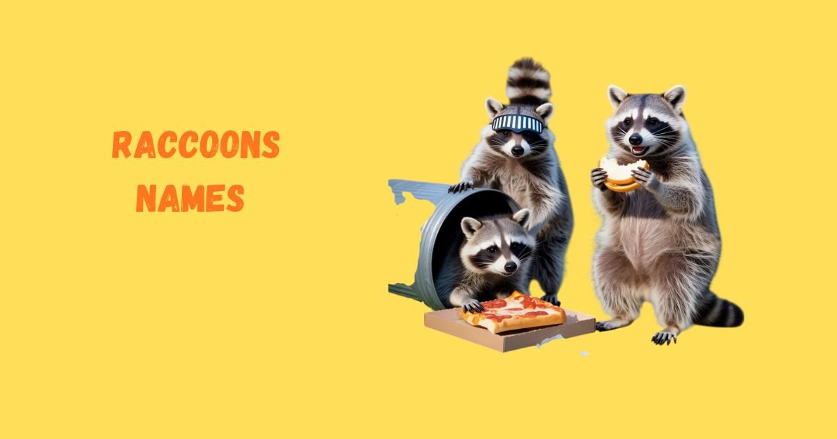 Funny Names For Raccoons: 200 Trash Kings & Bandits That'll Make You Howl