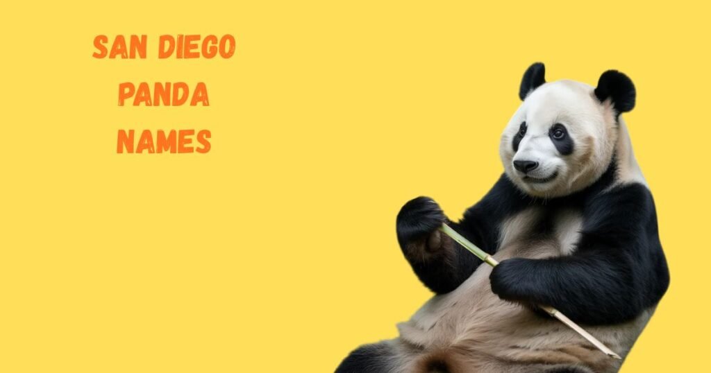 San Diego Panda Names Throughout History