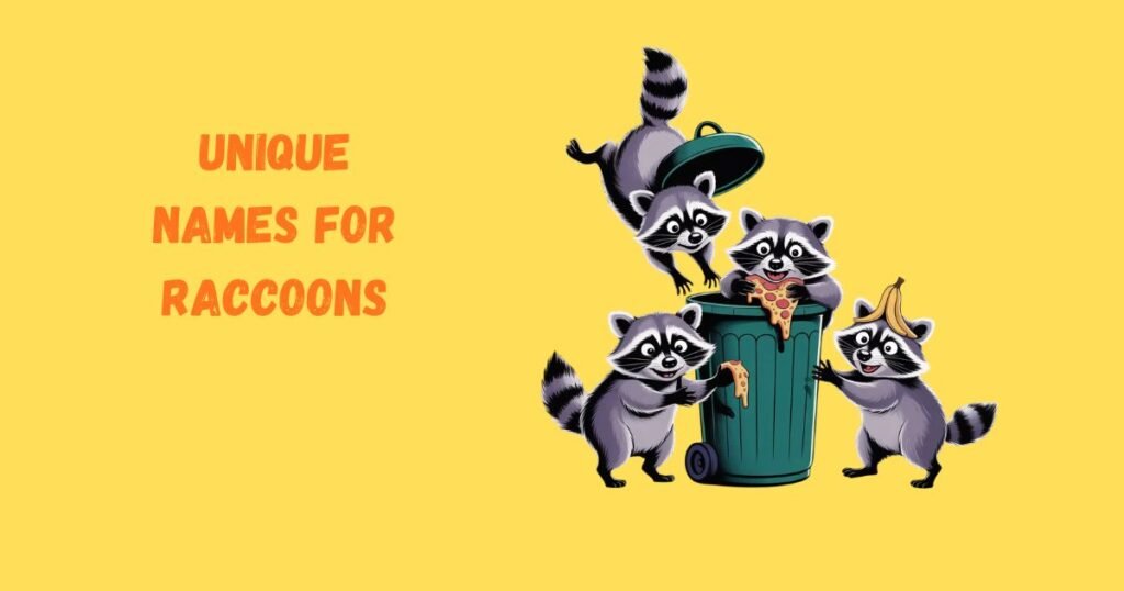 Unique Names For Raccoons