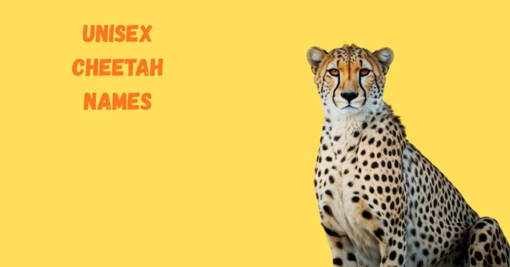 Unisex Cheetah Names