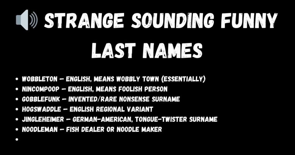 🔊 Strange Sounding Funny Last Names