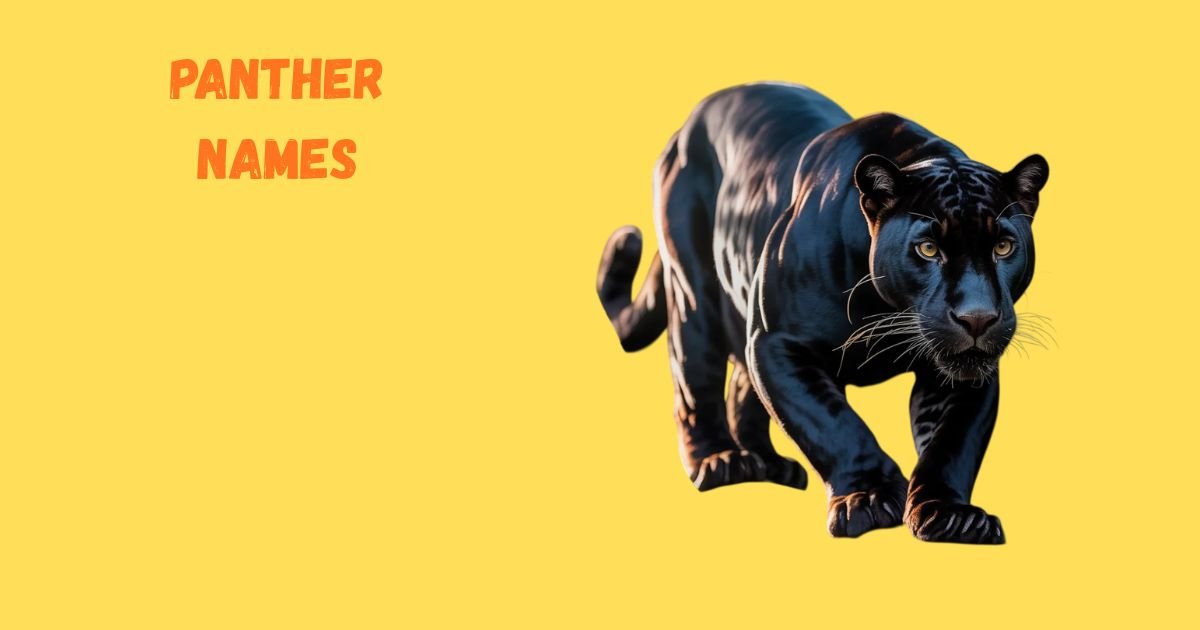 470+ Panther Names Guide: Powerful, Creative & Meaningful Ideas with Panther Names Generator