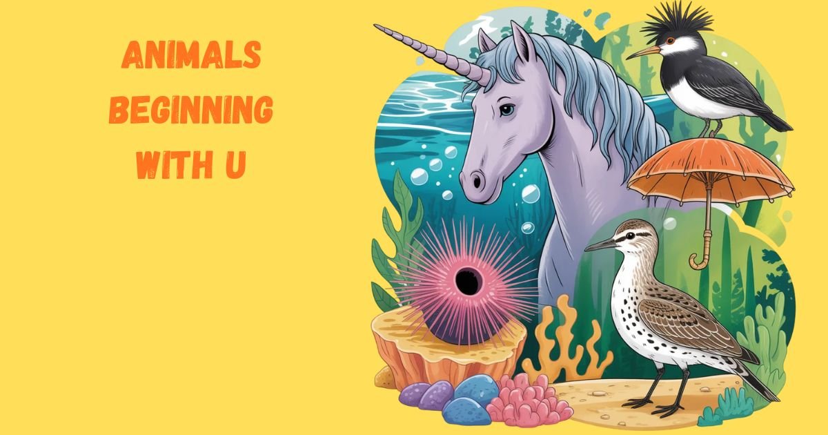 Animals Beginning With U: U R Gonna Love These