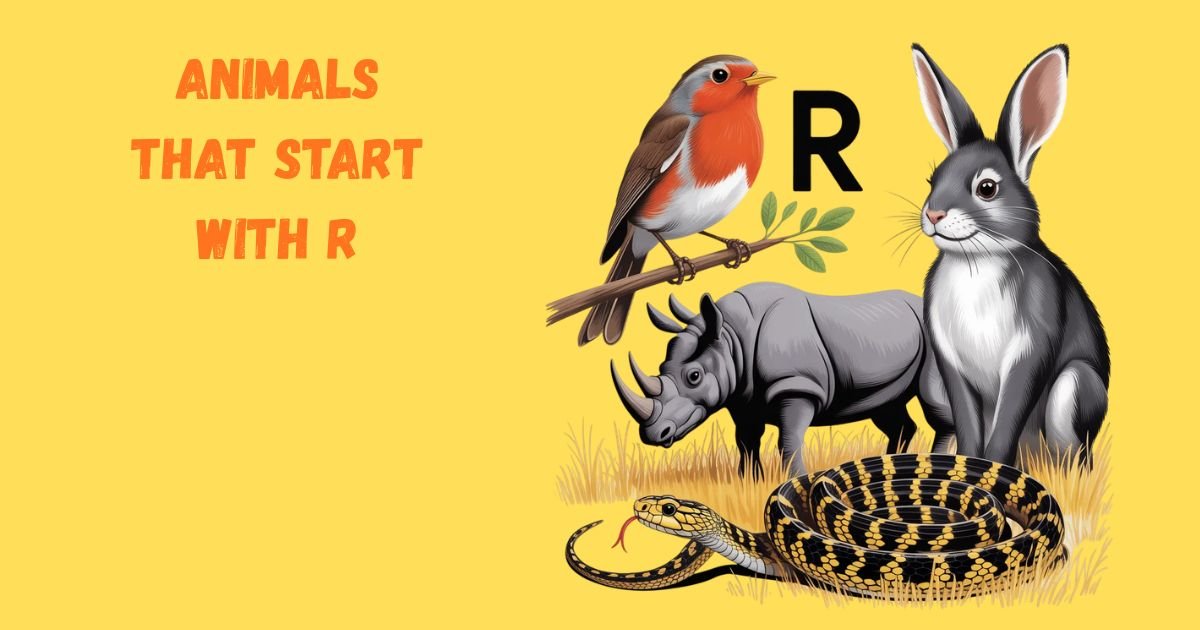 Animals That Start With R: Remarkable Creatures You Need to Know
