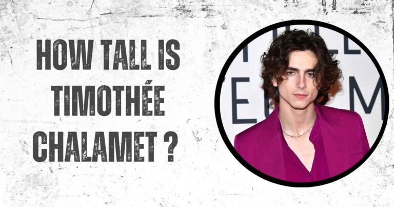 How Tall Is Timothée Chalamet